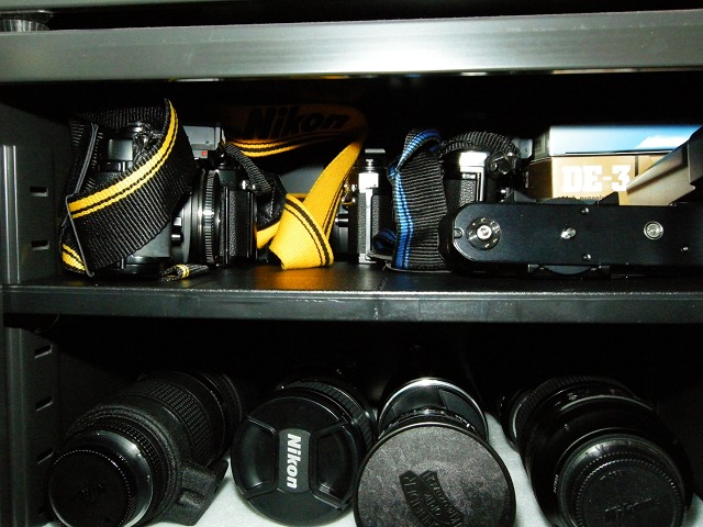 Nikon Camera and Lens Protected in Eureka's Auto Dry Box