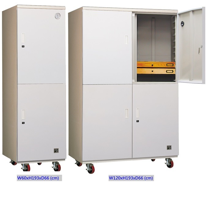 Entomology Specimen Protected in Humidity Controlled Storage