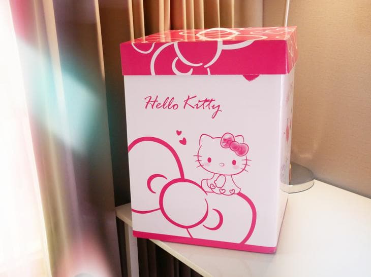 Hello Kitty 防潮箱