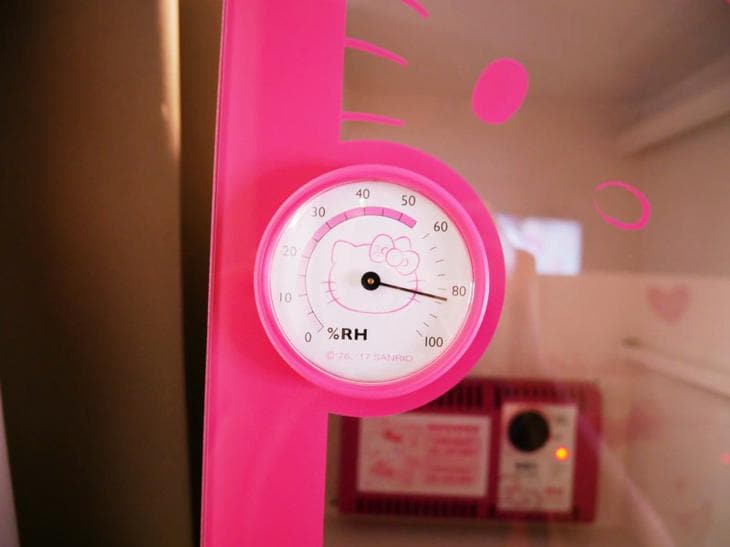 Hello Kitty 電子防潮箱