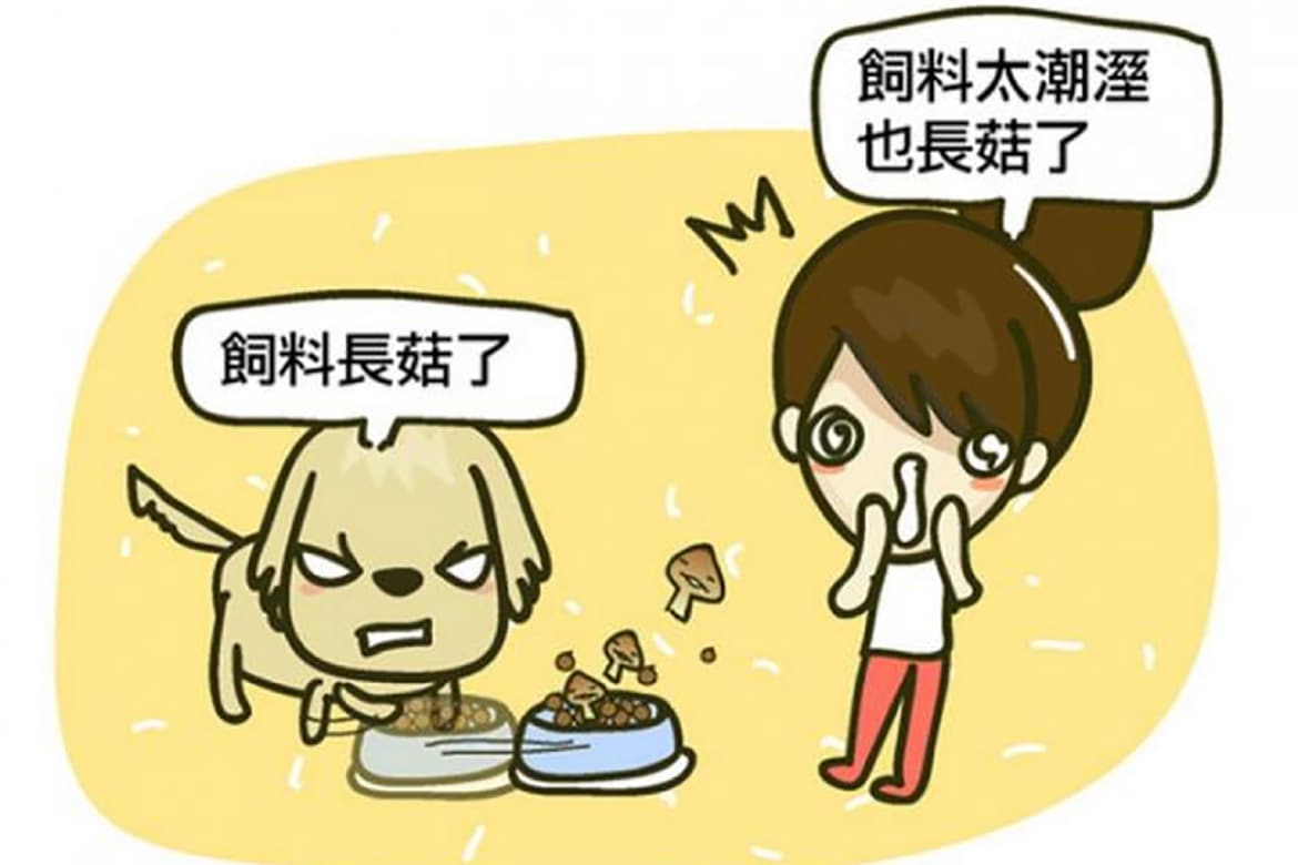 食品/藥品:我愛用收藏家電子防潮箱