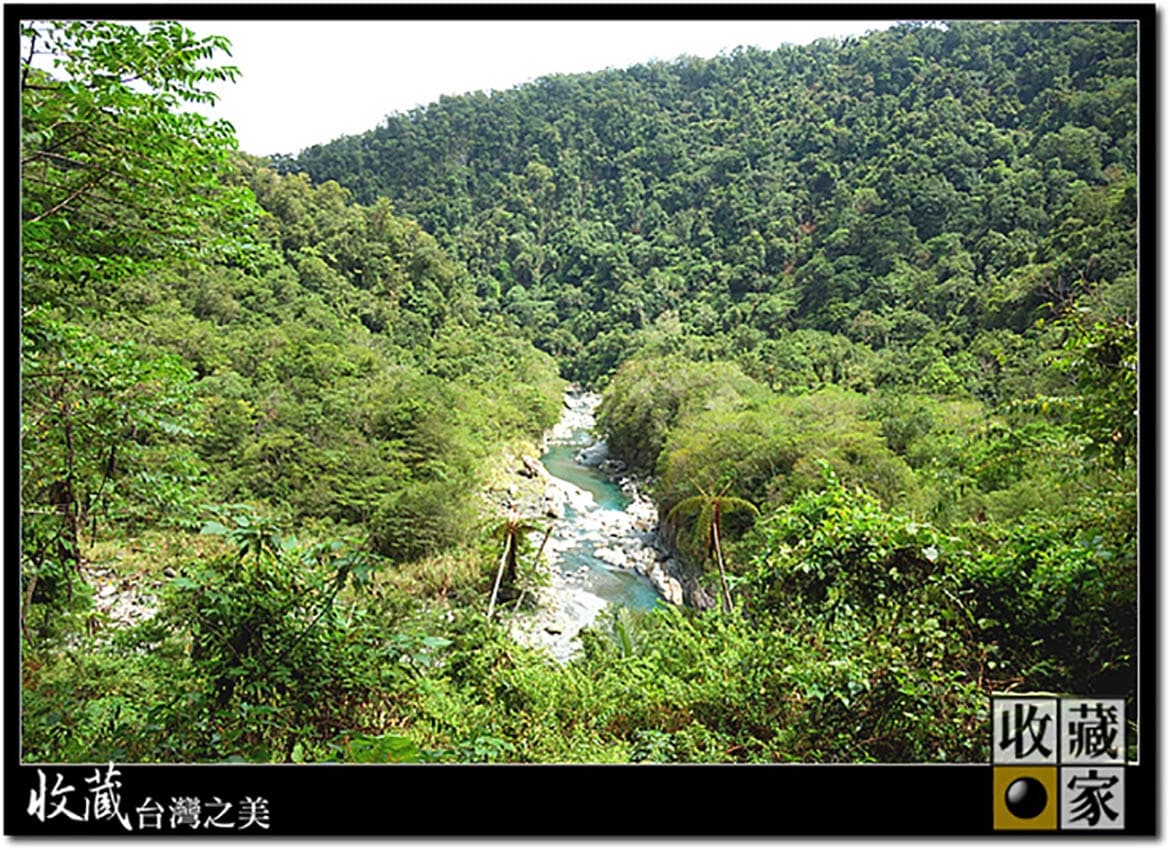 台灣的亞馬遜河 大自然寶藏