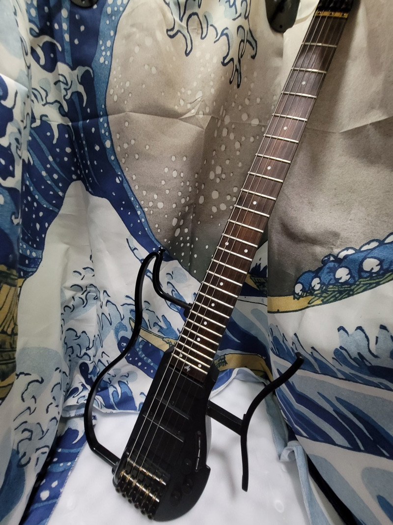 ART-288 吉他專用防潮櫃，保護大陸品牌ALP的AD-80無頭琴