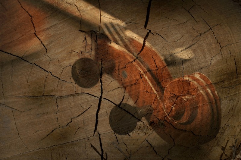 Maintenance violin02