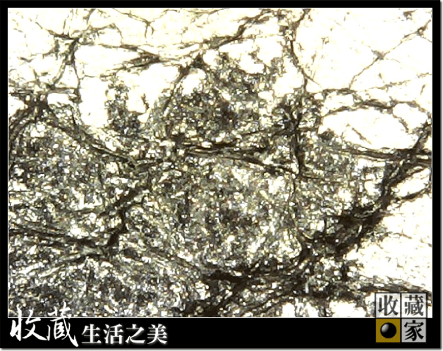 皮革黑點