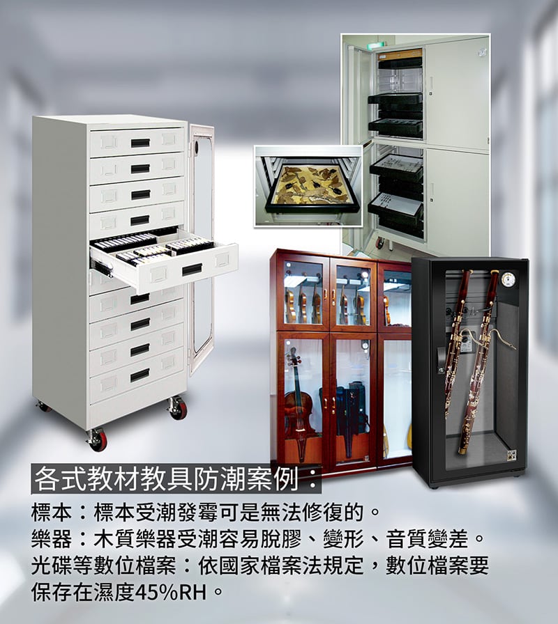 學校各式卓越教材教具,標本與樂器需要防潮,不只是避免發霉變形,也減少重購、維修等費用支出。
