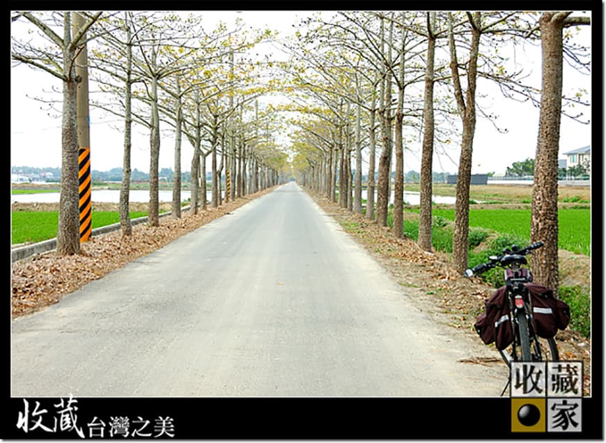 bike 06