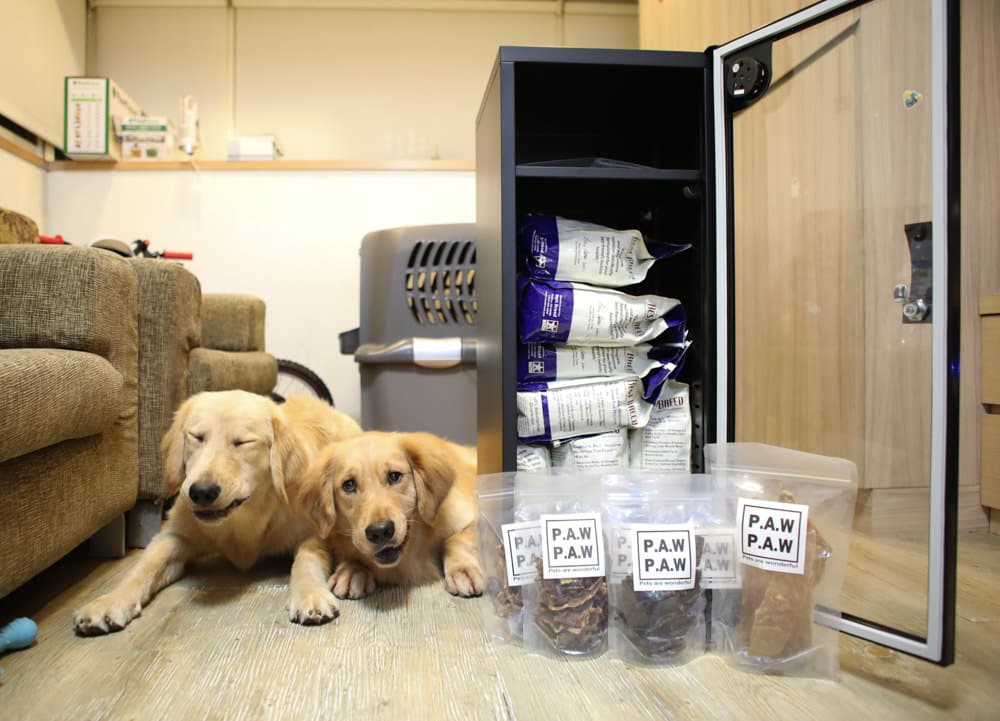 dogs and food