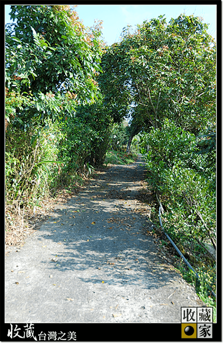 dongshan 03