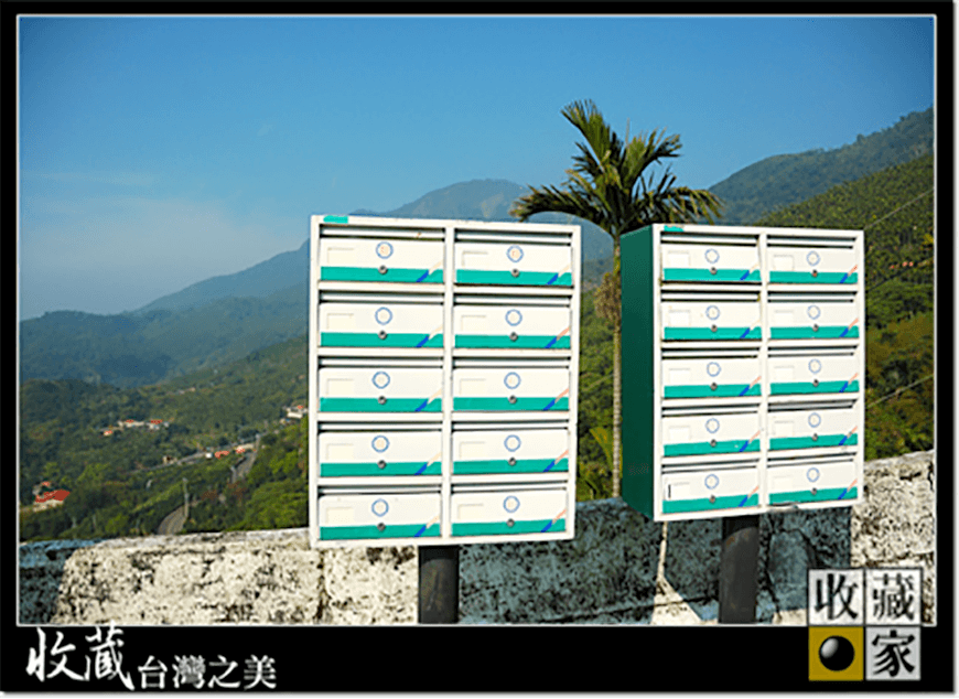 dongshan 08