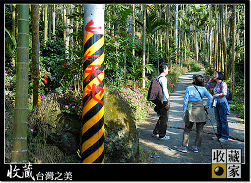 dongshan 09