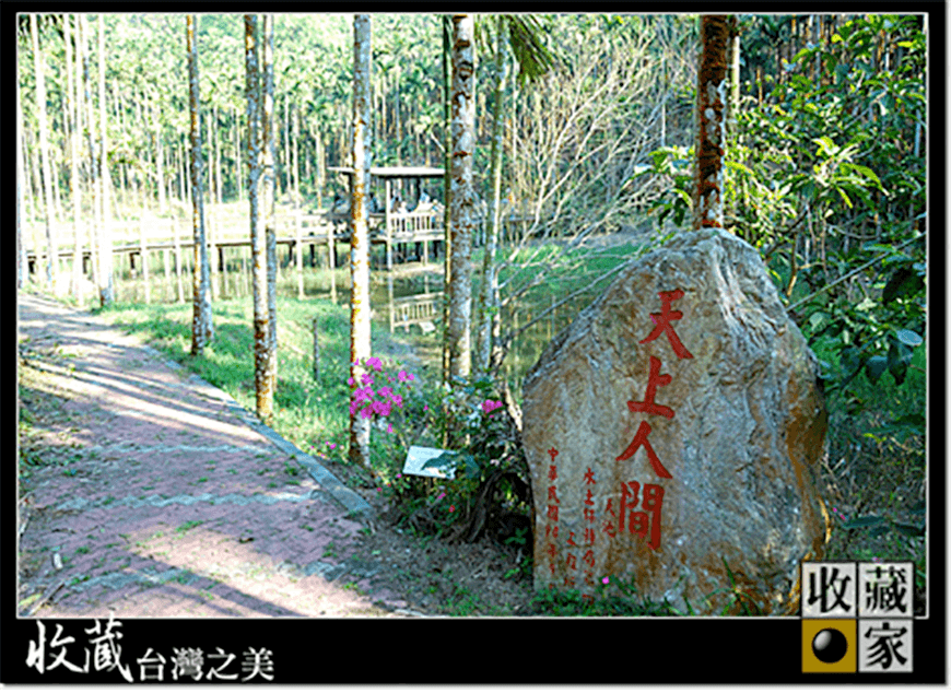 dongshan 12