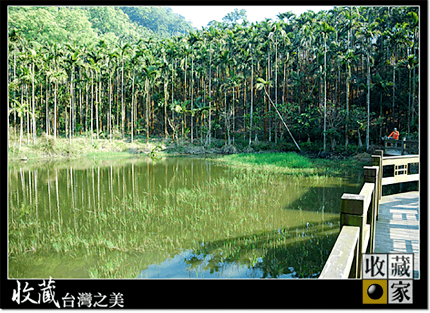 dongshan 13