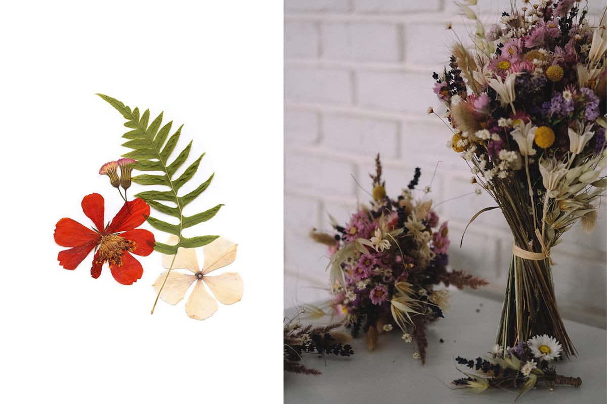 dry flower
