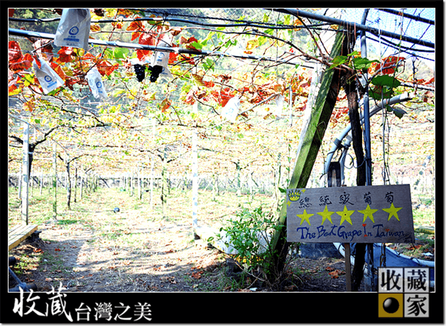 farm 07