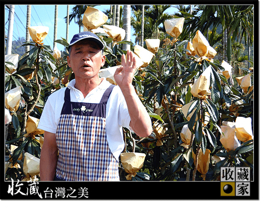 farm 13