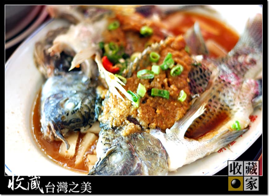 fish 09