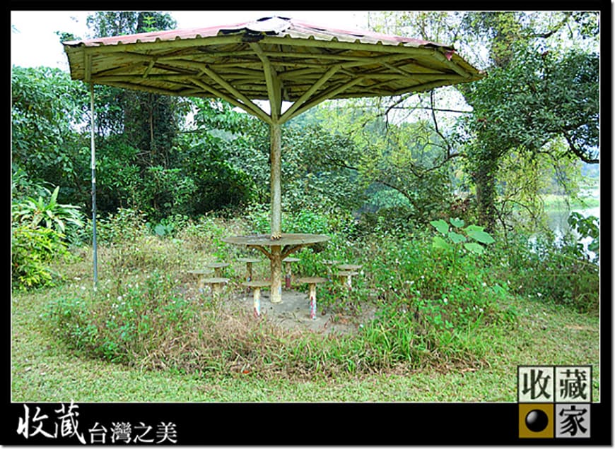 forest 10