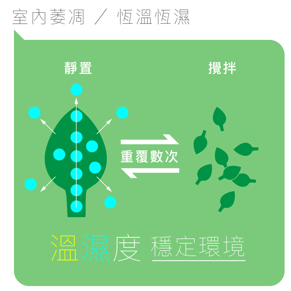茶葉萎凋製程需要穩定的濕度,才能讓茶葉行水、走水均勻