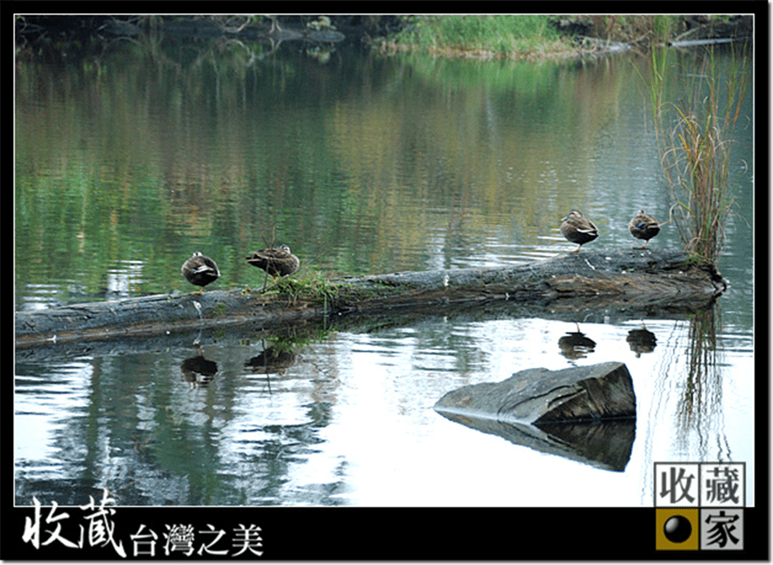 lake 03