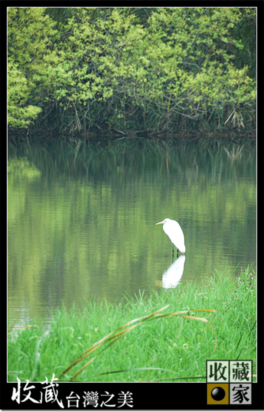 lake 12