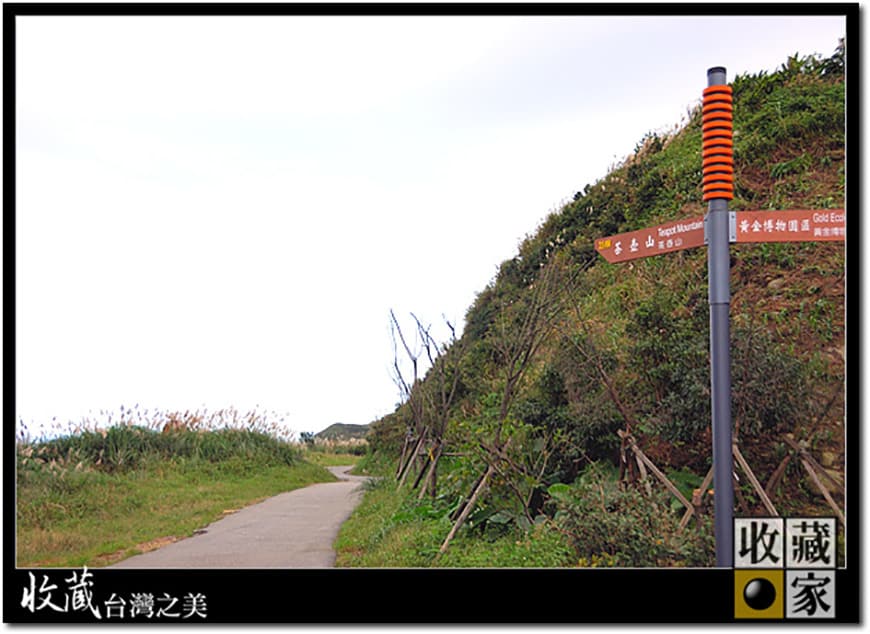 mountain trail 01