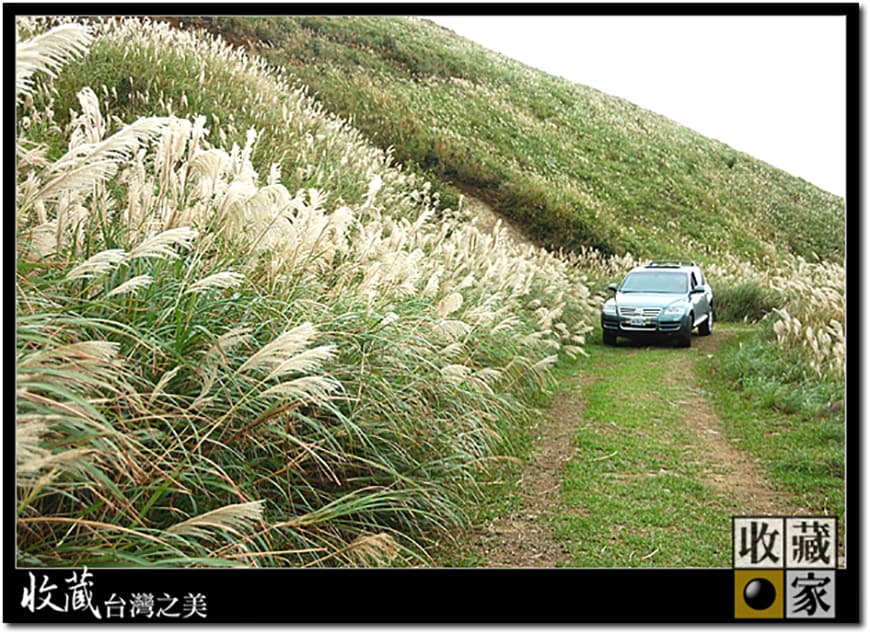 mountain trail 03
