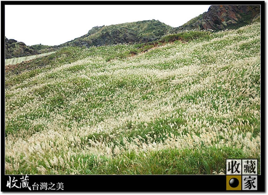 mountain trail 04