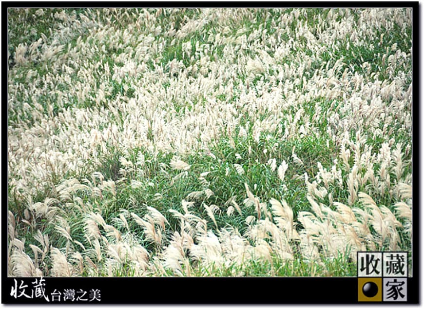mountain trail 05