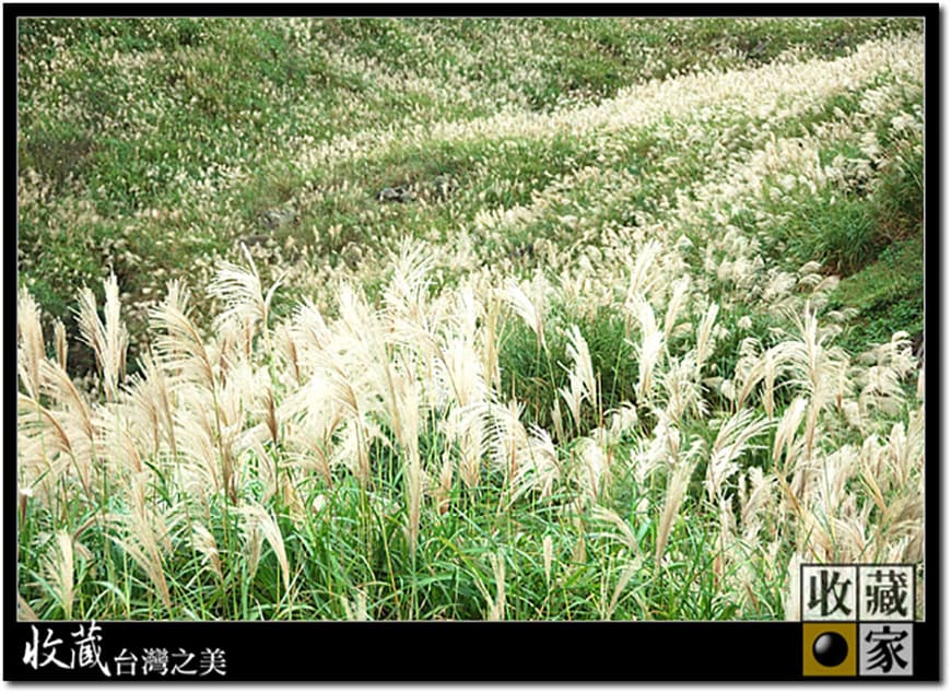 mountain trail 06