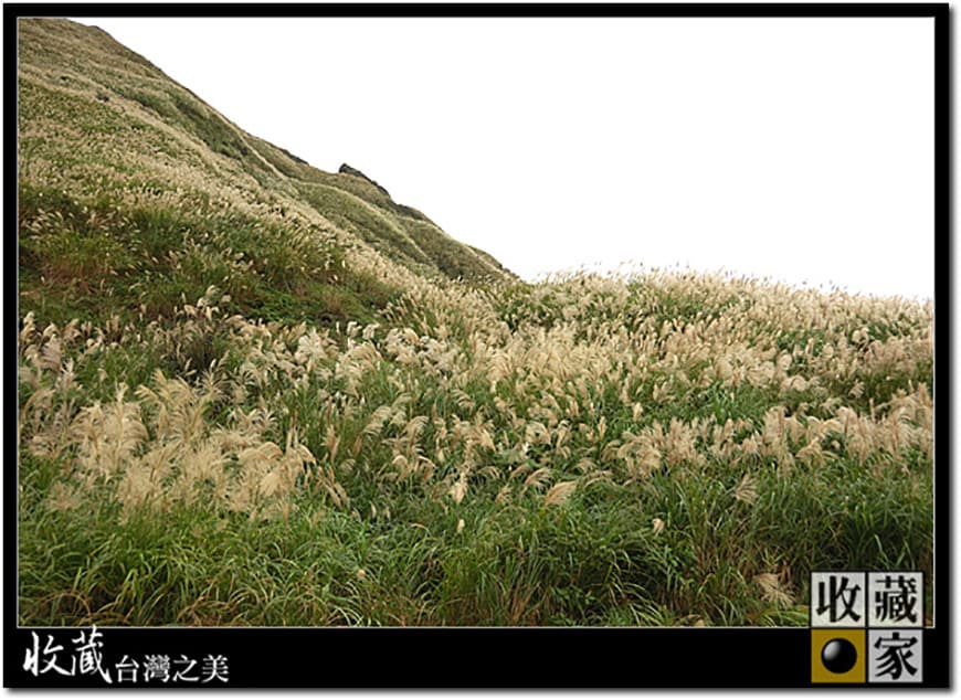 mountain trail 07