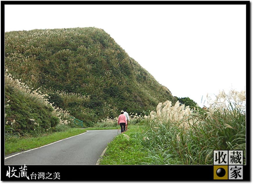 mountain trail 08