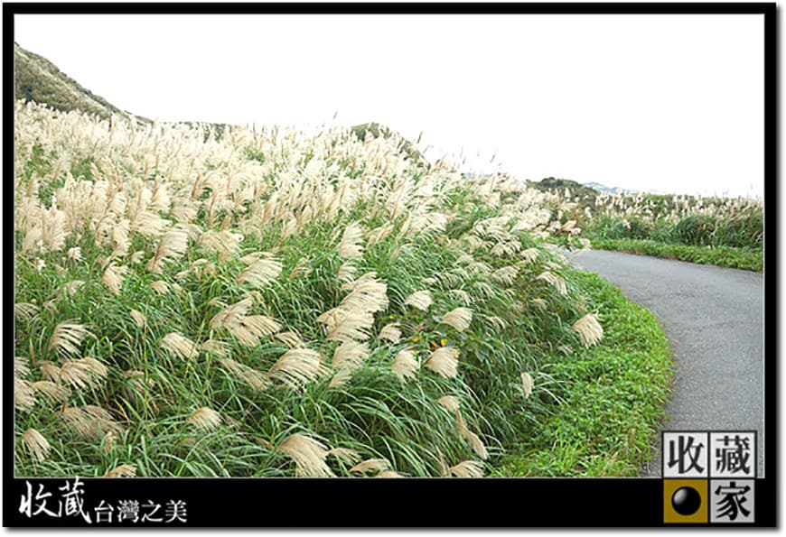 mountain trail 10