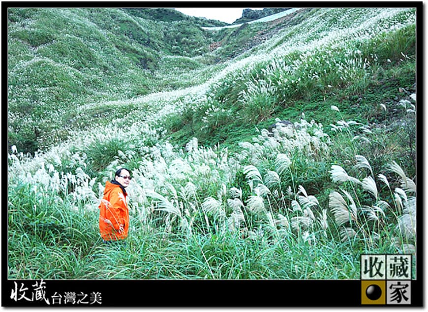 mountain trail 11