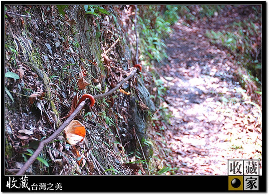 nature 07