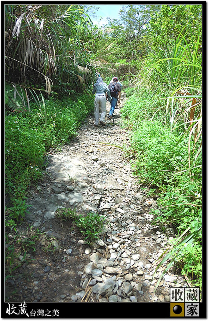 path 03