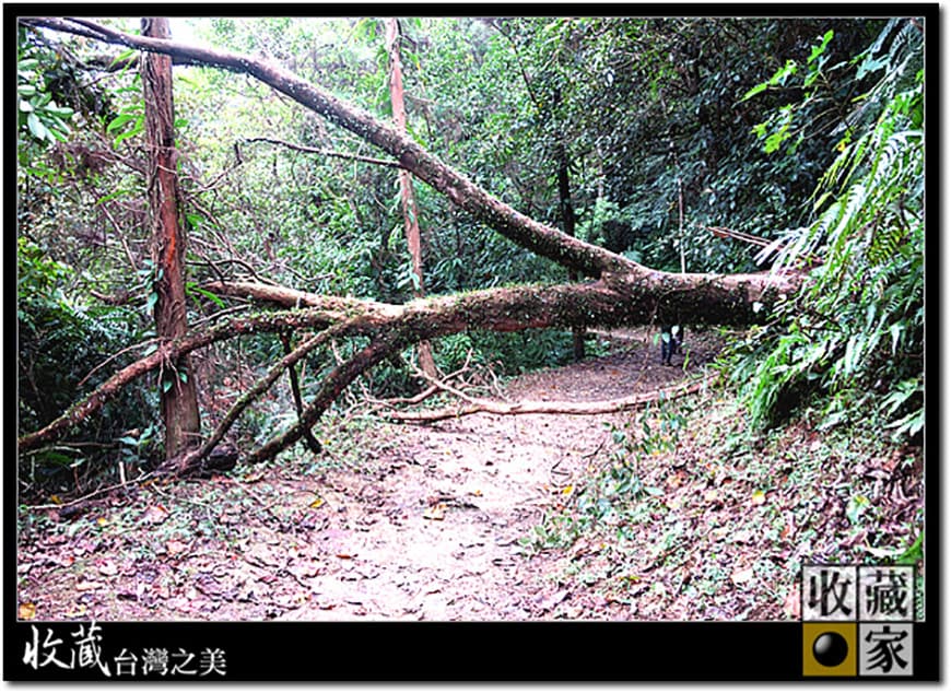 san miao ling road 06