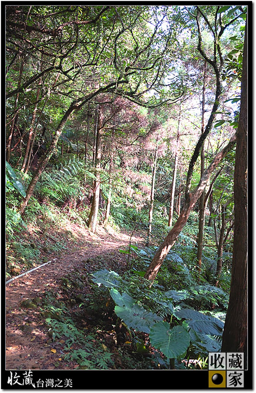 san miao ling road 13