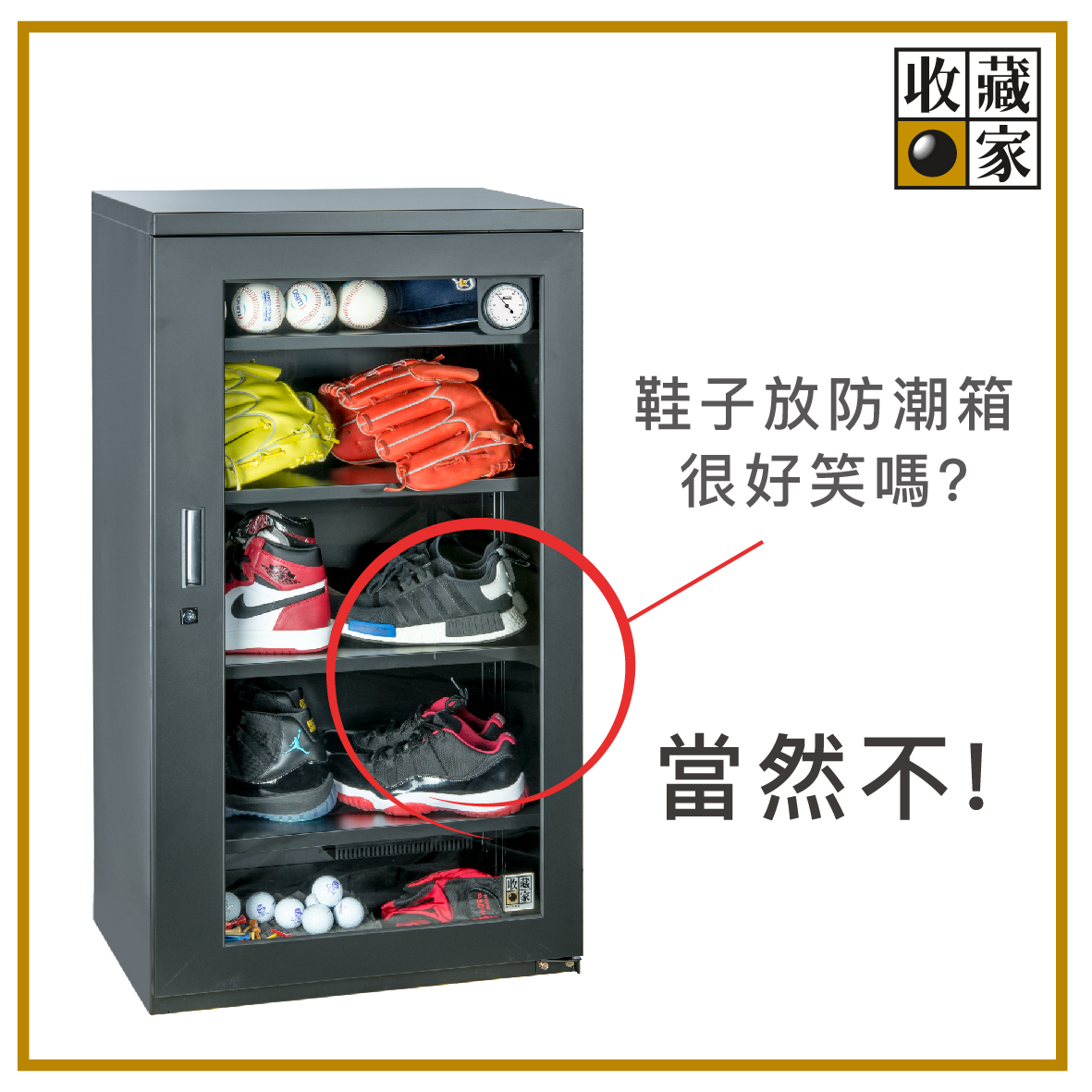 shoes in drybox
