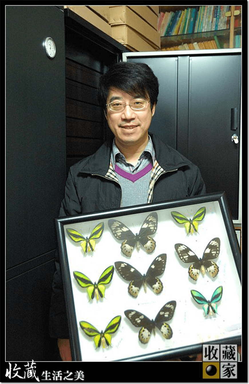 標本展示 防潮櫃訂製