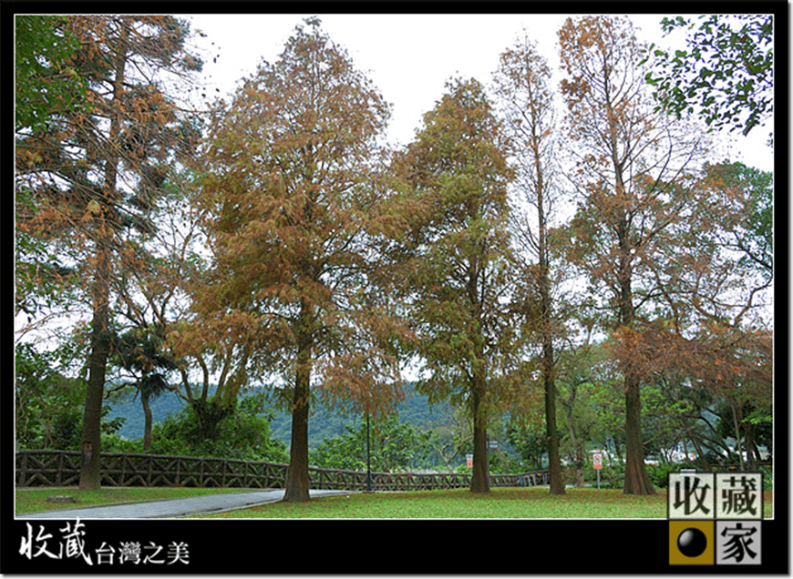 taoyuan 02