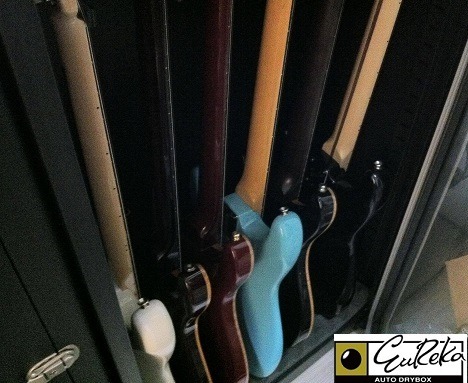 Protecting Musical Instruments from humidity caused damages