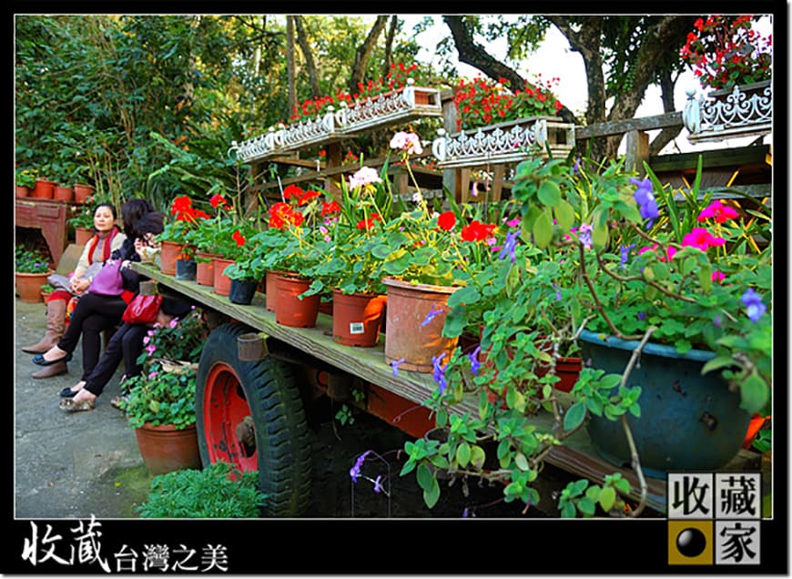 flower 06