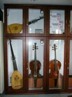 Musical Instrument Collection